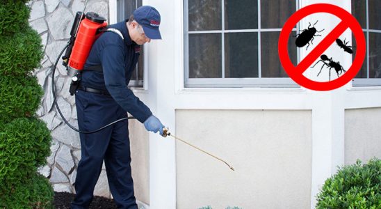 Çeşmealtı Gümüşkurt İlaçlama böcek ilaçlama ve haşere kontrolü — ilaclama-tr.com